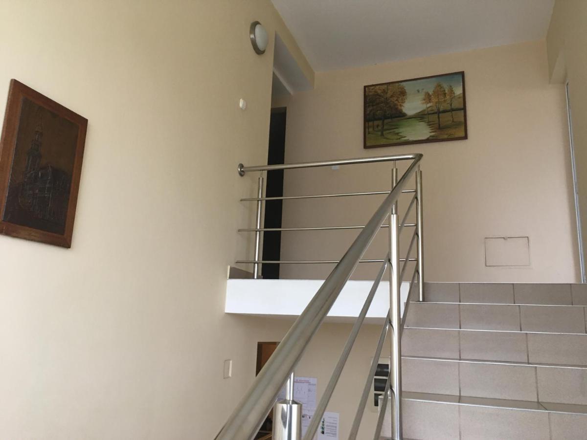 Pensiunea Brigi Satu Mare Exteriör bild