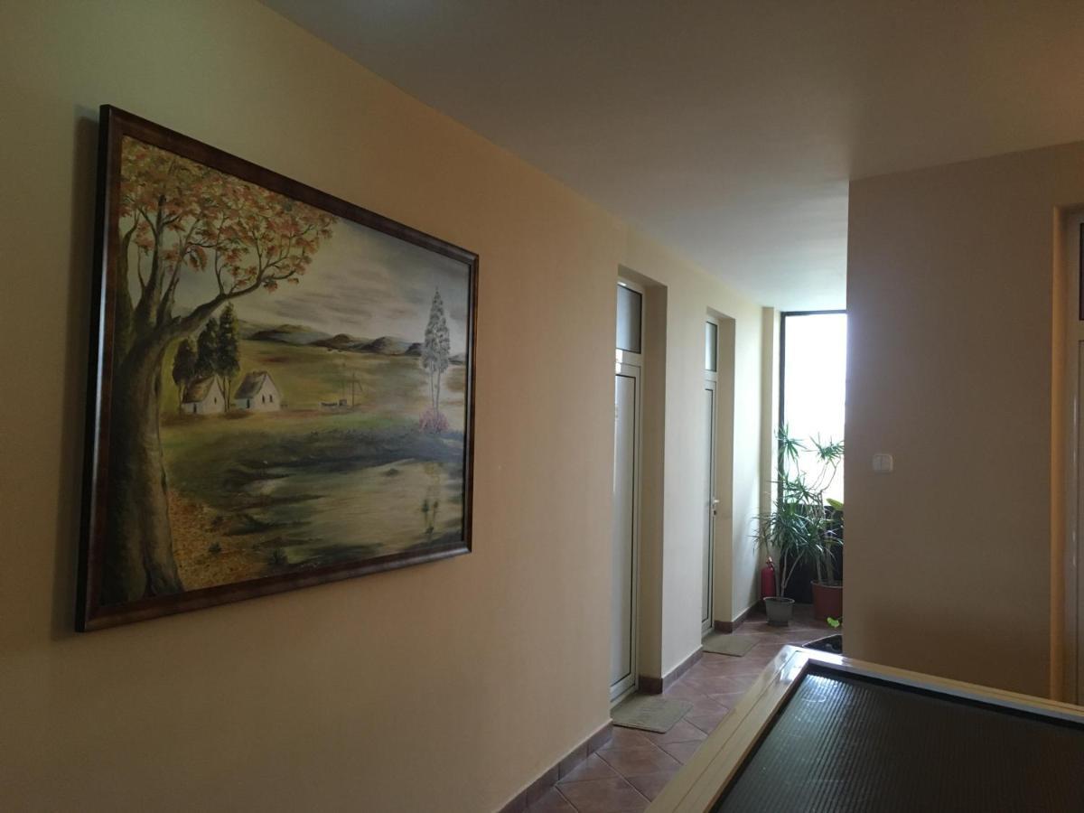 Pensiunea Brigi Satu Mare Exteriör bild