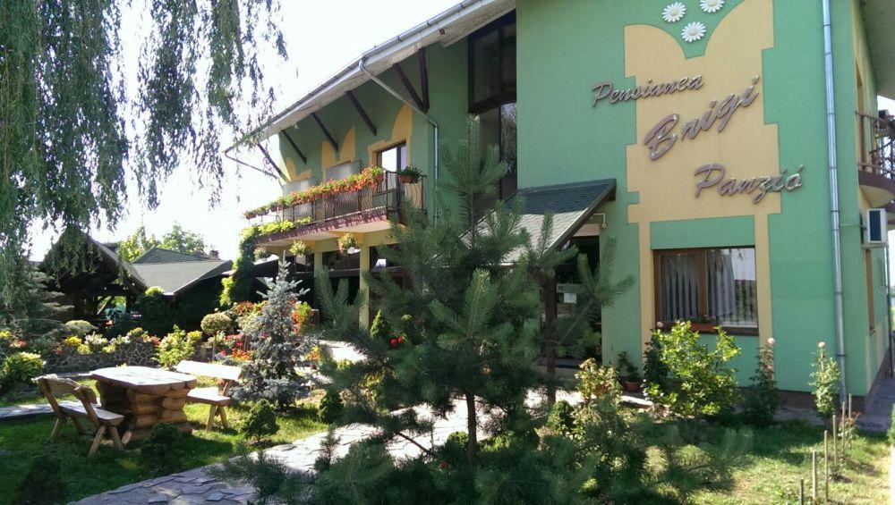 Pensiunea Brigi Satu Mare Exteriör bild